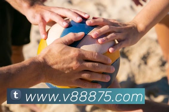 v8体育入口平台生态图